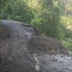 Jalan Rp16 Miliar di Manggarai Timur Amblas, Anggota DPRD Sebut Gagal Perencanaan