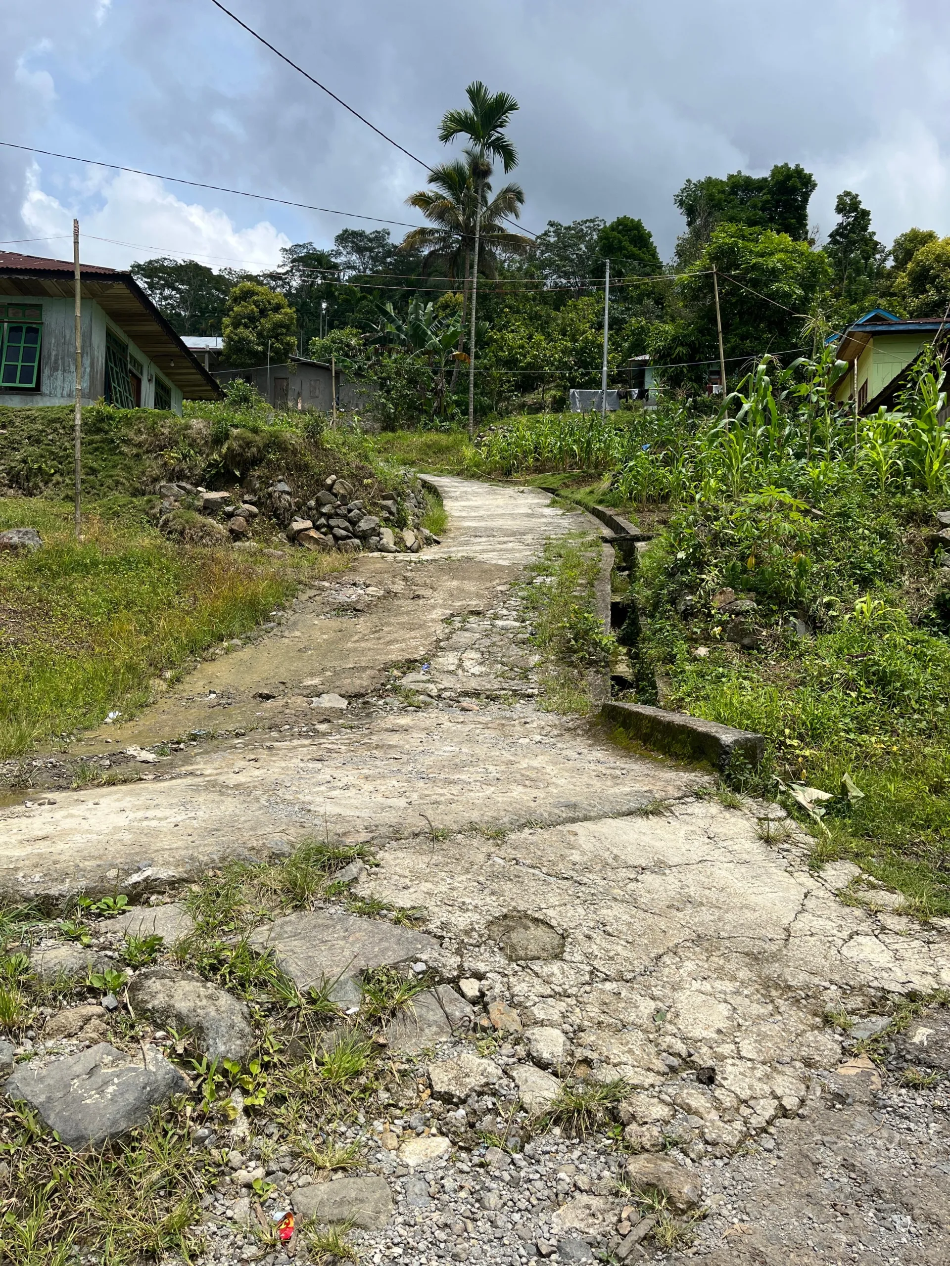 Proyek Rabat Beton dan Jalan Tani di Desa Poco Ri’i Diduga Menyimpang, Warga Desak Aparat Penegak Hukum Turun Tangan